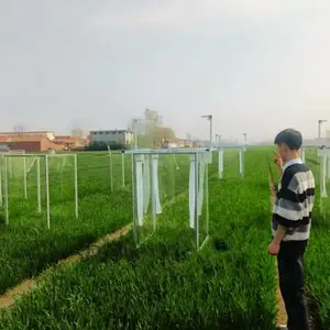 黍峰生物温室群体光合仪采购 上海黍峰生物科技供应