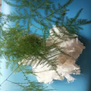 ����ά���ձ ����ά�����Ƭ ����ά��˿�����Ƭ ������֯