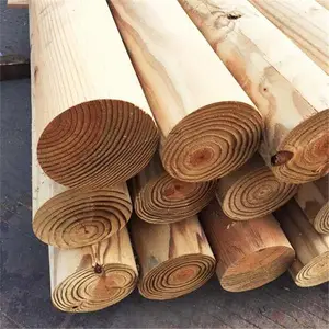 �ٴ����� ����ľ ��BCSJ106��