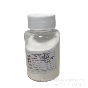Ӯ����ĩ���ݼ�TEGO XP 22077 ����������