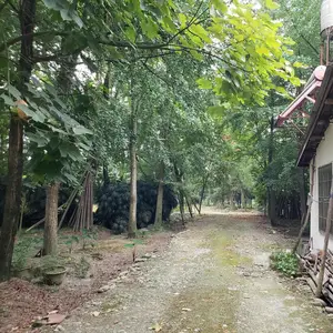 成都市温江区世强花木专业合作社