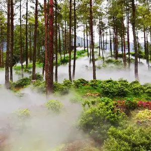高压雾森造景设备-产品价格实惠-节能环保-安装快速