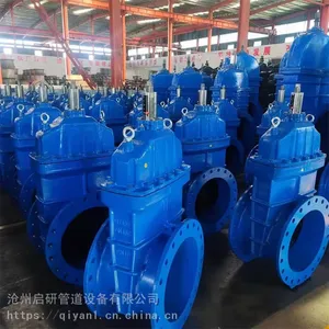 防护闸阀 软密封弹性座封阀门 启研源厂定制加工