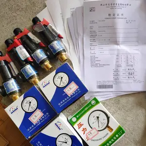 深圳空压机安全阀压力表年检报检服务 储气罐安全阀定期代检服务