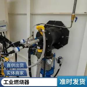 石化油田天然气加热炉燃气燃烧器 水套炉天然气燃烧器 岱鼎燃烧