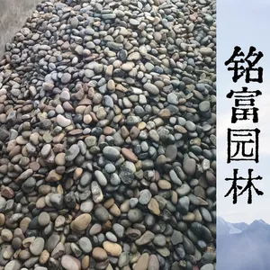 天然5 8公分变电站鹅卵石 变压器储油池专用鹅卵石 英 德产地厂家