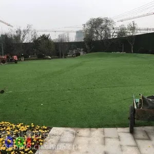 ���������׶�԰�����ƺ�Ǹ���