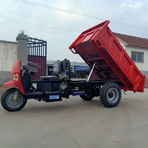 ���۲���������ж�� 2�����ַ����� С��ũ��������ж��