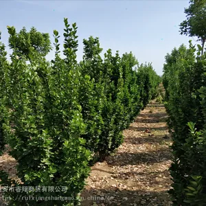 ���ֹ�񱱺������� 2�ױ�����3�� 4�� 5�ױ���������