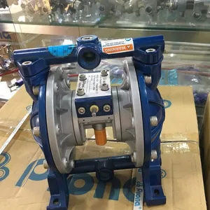���������A20������Ĥ�þ�������ǹ�ͱ�