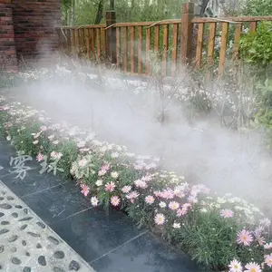 �����̳����£����⽵���쾰�����нֽ���ˮ�����ֵ������豸