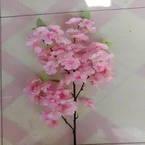 ���澰���� �߷���ֲ�ﱨ�� �������컨 ����껨