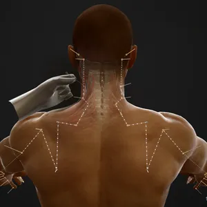 MAI Body Map人体地图系统|中医针灸|模拟教学|模拟解剖互动|精准人体模型
