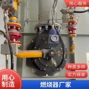 岱鼎燃烧 低氮燃烧机 天然气低氮燃烧器 厂家直供 进口质量