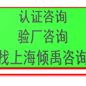 上海disney迪斯尼验厂哪家快 欢迎来电 上海倾禹企业管理咨询供应