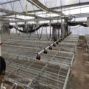 温室移动喷灌机是如何完成温室幼苗浇灌的呢？