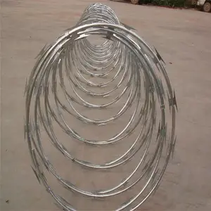 ��˿���� �������� �໤������