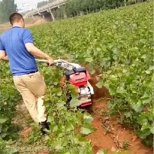������ֲ΢�Ϳ����� �ֶ������߲˴�����¢�� ���õ�λ�˿���������
