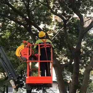 �ֶ��̻��������������辰������������������������������գ�***��ɽ԰��