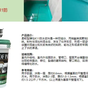 六盘水市毛坯房防水补漏堵漏一体化 来电咨询 时代防水材料供应