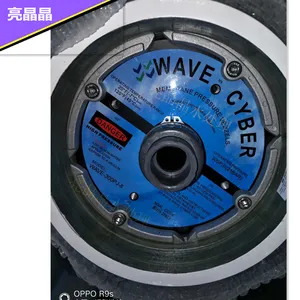 ���ĳ���300p-8Ӣ��WAVEΨ����Ĥ�Ƕ˸� �ɶ��Ƴ���