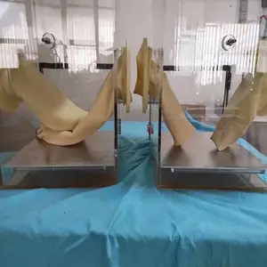 聚碳酸酯手套箱真空手套箱和气体净化系统构成一个密闭的循环系统