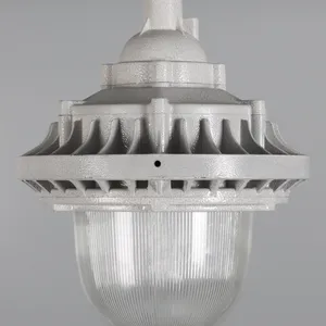 ɭ���׷�LED������LFB-100-10 100W LED AC220V IP66 EXd ��C