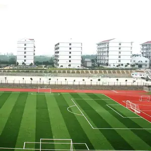 南宁塑胶跑道足球场建设_南宁硅PU篮球场材料包工包料施工_新建新做学校操场工程_能冠体育