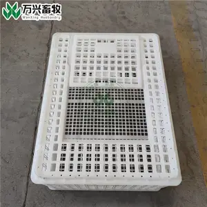��Ӧ������������������
