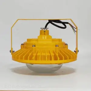 ���ʽ������50W 60W 70W����ͨ�����ߺ� 30cm��� ���ͷ �ڹ�ʽ��װ