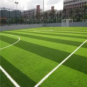 ǽ������ �����ƺ���۸� ��ɫ�̵���