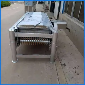 ������ʽ�����Զ���ë��