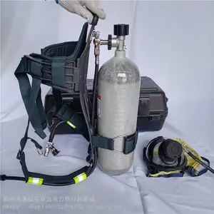˫����Яʽ����������������Ӧ����ѹʽ�����������Ը�ʽ������