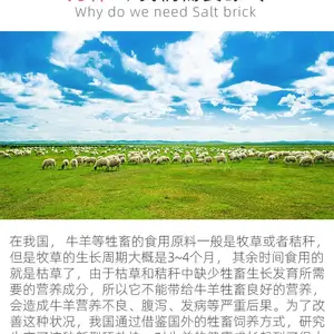 ���ݴ�����ݴ����ר�ô�����������