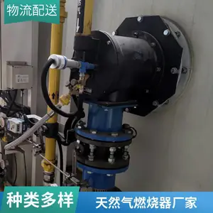 水套炉燃烧机 氢气天然气燃烧器燃烧器源头厂家 岱鼎燃烧