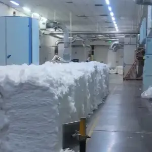 莱赛尔30S