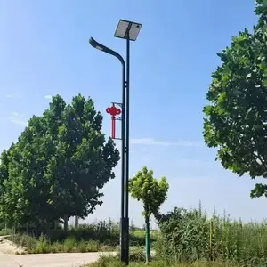 乡村改造太阳能路灯 户外防水led6米一体化太阳能路灯
