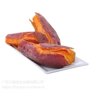 湛江白杨农业西瓜红番薯批发 产地直发 西瓜红番薯种植基地