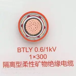 BTLY0.6/1KV铜护套矿物电缆