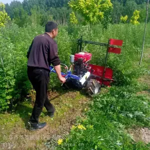 ȫ������С�͸�ɹ�� ��԰Ұ���ո��Ƭ�� ���ȫ