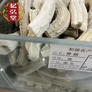 �������տ�������ҩ�� �������������� ��֤���䱳ҩ��