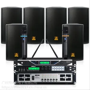 大型会议室音响套装 狮乐BM99音响S-62B功放效果器舞台扩声设备 室外演出木制音箱设备