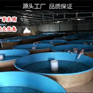 玻璃钢水池水槽阳台鱼缸养鱼池小型家用室外室内金鱼集装箱流水