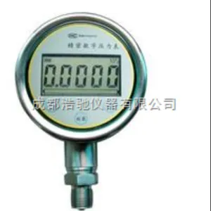 数字压力表 CWY100