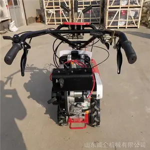 ���Ͳ�������΢���� С������������ ������������΢����