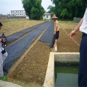 ��ɫ�ڹ��� ������������ ����ɻ����