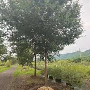 �̻���ľ���� 20�����������۸� ������������