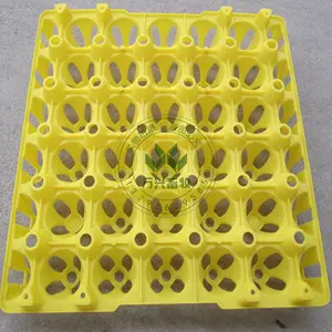 30枚蛋托 塑料禽类蛋托 防摔鸭蛋托 鸡鸭蛋托 种蛋托 蛋托规格