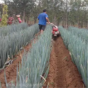 ��խ�о��������� ̫�Ӳθ��������� ũ����ֲ�ð���