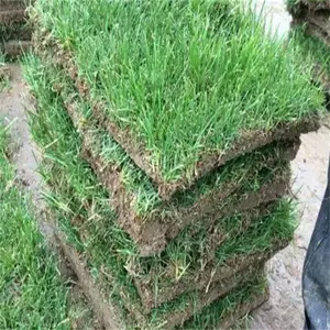 ���ݰ�����Ľ���ƺ ��·�̻���ƺ ��ʱ���ƺ